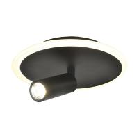 Настенно-потолочный светильник Escada 20046SMA/01LED BK
