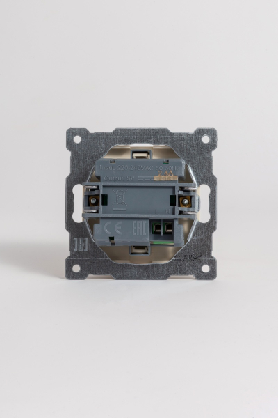Розетка с двумя разъемами USB + Tupe C+A ELBI Zena Vega 609-010300-335