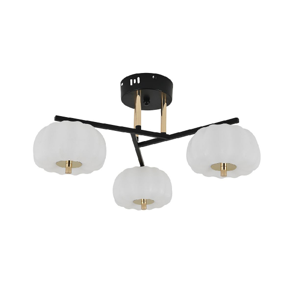 10301/3LED