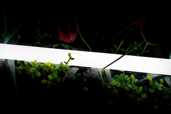 Светодиодная лента SWG 2835 360 LED/м 16 Вт/м 24В 4000K IP66 013283