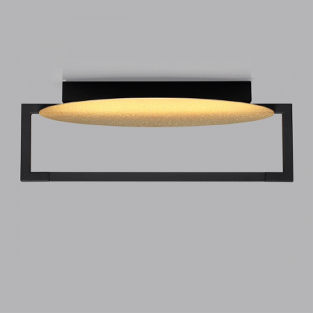 Настенно-потолочный светильник Odeon Light Lunar 7016/15WL