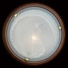 Потолочный светильник Sonex Lufe Wood 236