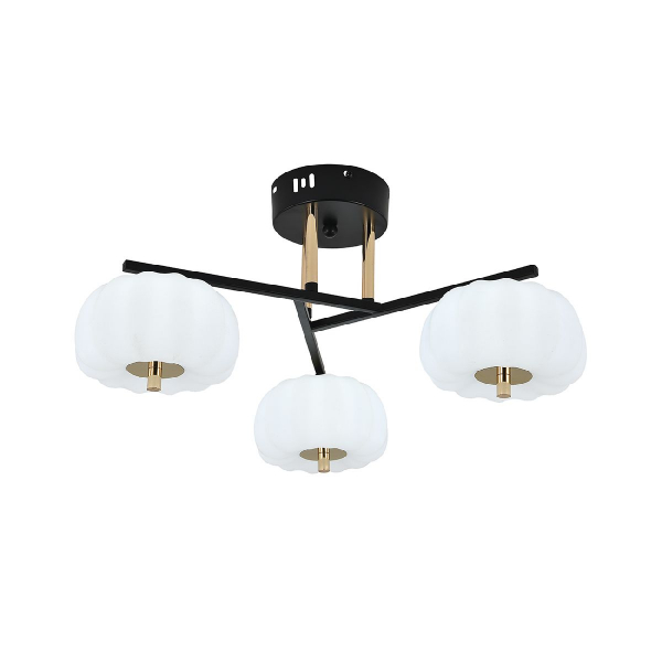 10301/3LED