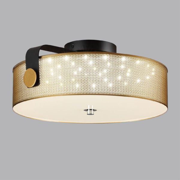 Потолочный светильник Lumion Drumy 6597/40L